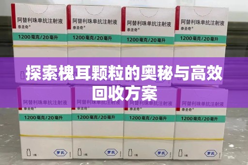 南宁探索槐耳颗粒的奥秘与高效回收方案