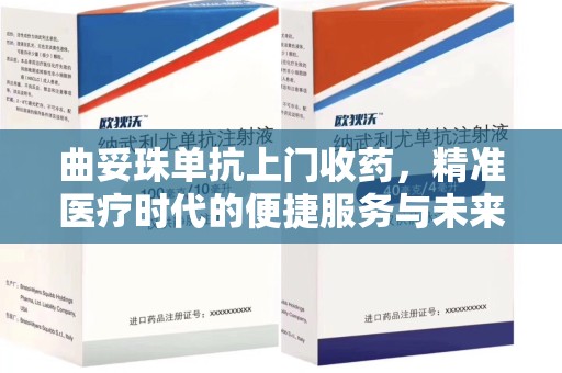 南宁曲妥珠单抗上门收药，精准医疗时代的便捷服务与未来趋势