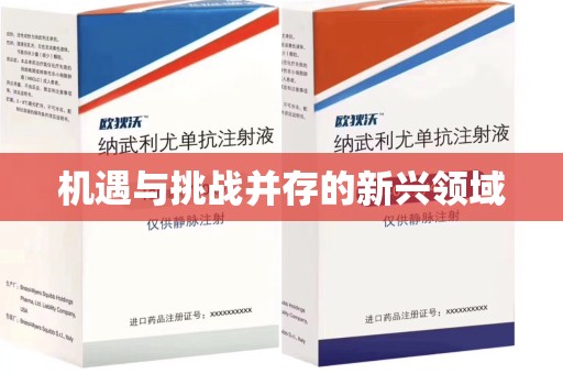 南宁机遇与挑战并存的新兴领域