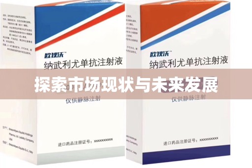 南宁探索市场现状与未来发展