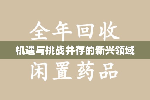 南宁机遇与挑战并存的新兴领域