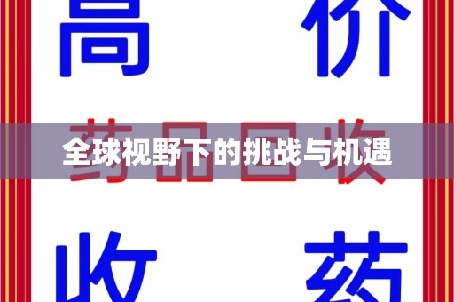 南宁全球视野下的挑战与机遇