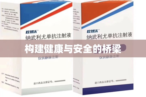 南宁构建健康与安全的桥梁