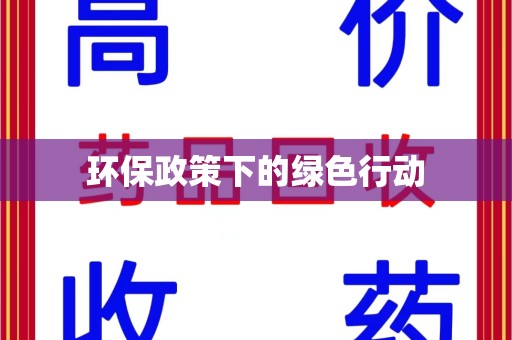 南宁环保政策下的绿色行动