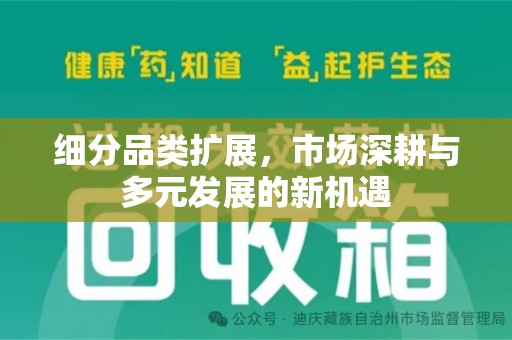 南宁细分品类扩展，市场深耕与多元发展的新机遇