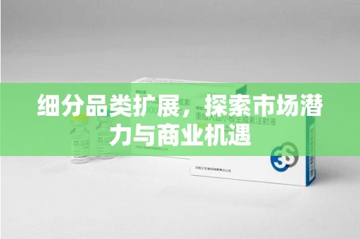 南宁细分品类扩展，探索市场潜力与商业机遇
