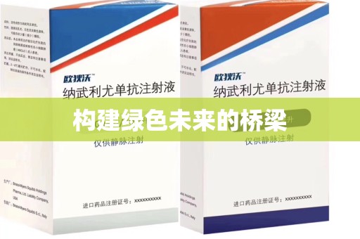 南宁构建绿色未来的桥梁