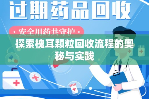 南宁探索槐耳颗粒回收流程的奥秘与实践